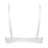 Reggiseno donna imbottito senza ferretto 2446
